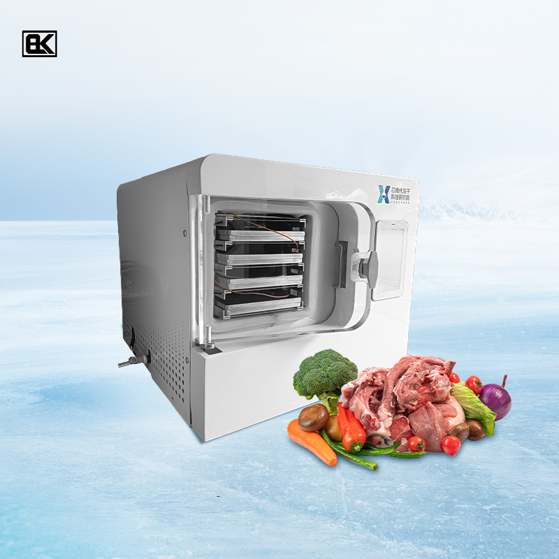 Home lyophilization homemade food freeze dryer household vacuum pump freeze dryer